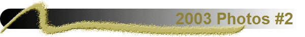 2003 Photos #2  
